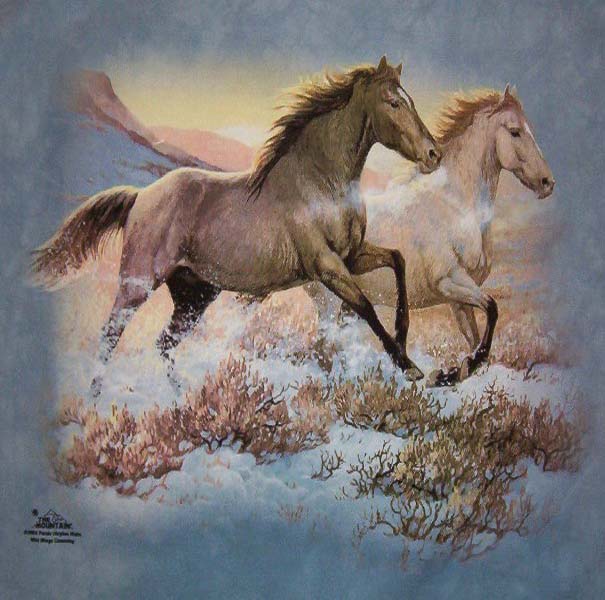 Horse Bandana