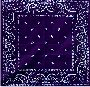Purple Paisley Bandana