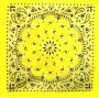 Yellow Paisley Bandanna