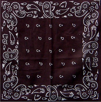 Brown Paisley Bandannas