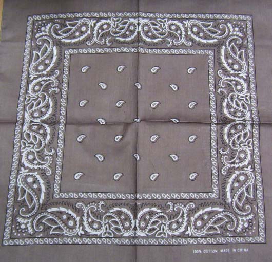 Gray Paisley Bandanna